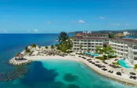 Secrets Wild Orchid