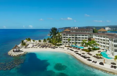 Secrets Wild Orchid