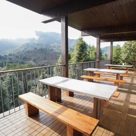 Yue Shan Tea Estate