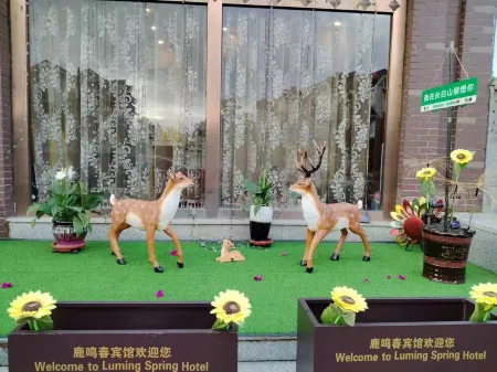 Lumingchun Hotel (Changbai Mountain North Scenic Area Distribution Center)