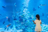 Palace Resort Yalong Bay Sanya