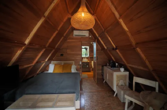 Villa Verde the garden