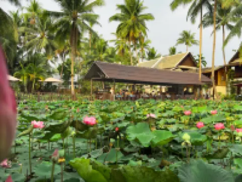 Villa Oasis Hoteles en Luang Prabang