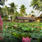 Villa Oasis Hotels in Luang Prabang