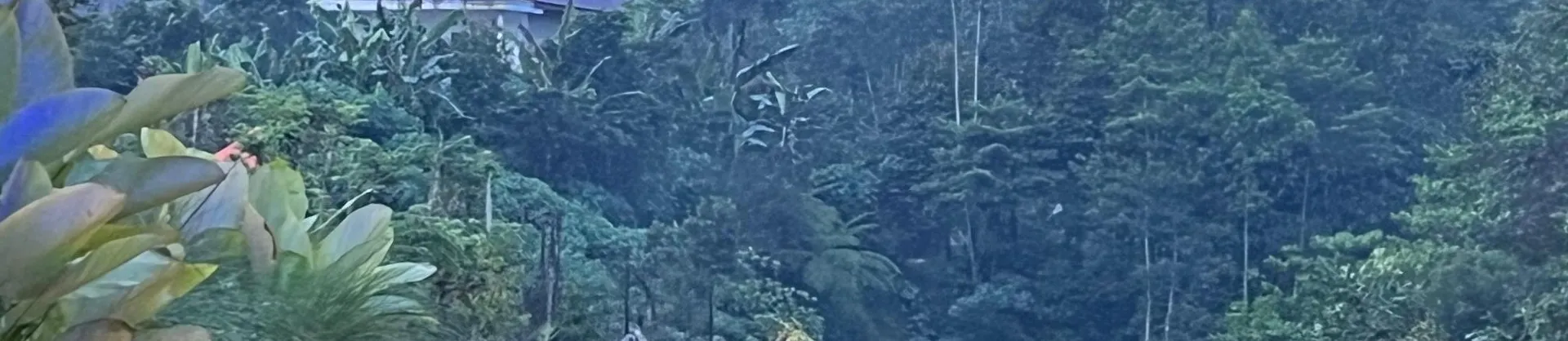 베스트 4성급 호텔