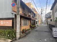 Floral Green Maple House