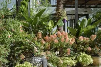 Floral Hotel·View Frame Garden Hotel (Dali Ancient City) Hotels in Dali