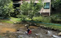 The Stream House