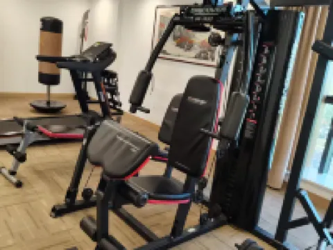 新樂國正天成假日酒店 新樂酒店