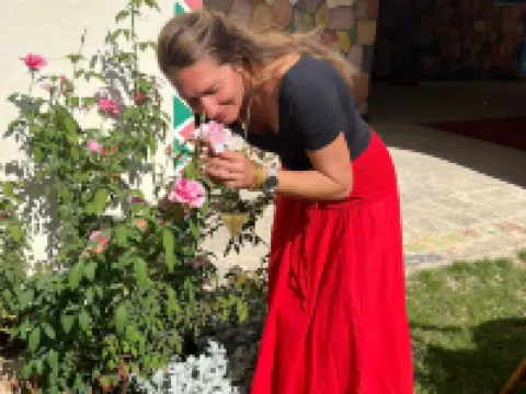 Hllol Abu Simbel Hotel Hotels in Abu Simbel