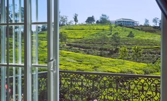 Private Villa by the Tea Estate