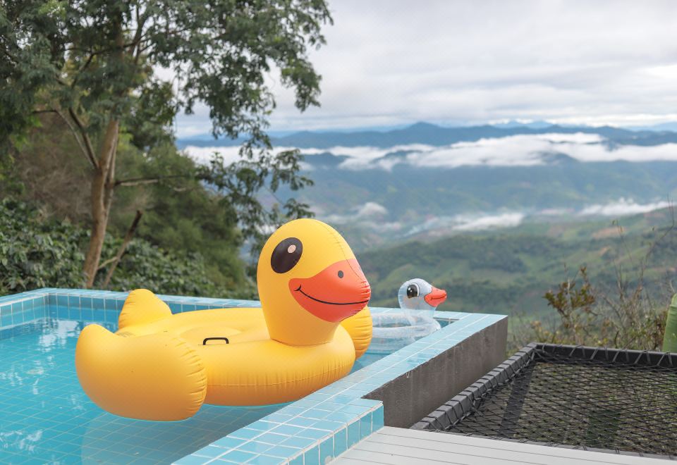 미스티 밸리 전경