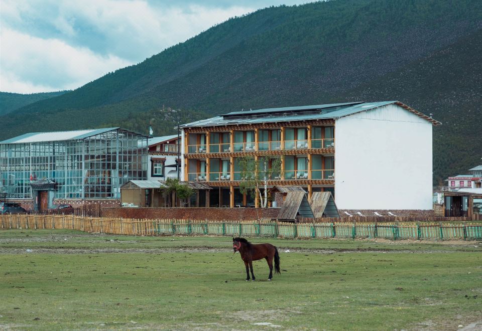 Sengjinida Deshe (Shangri-La Napahai Shop)