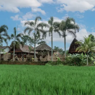 Umadesa Villa Tegallalang Hotels near Mason Elephant Park