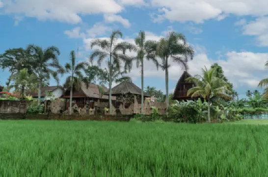 Umadesa Villa Tegallalang Hotels near Mason Elephant Park