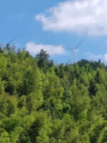 Fengxin Xigu Runisuoyuan