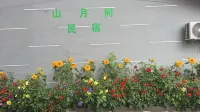 Shanyuejian Homestay