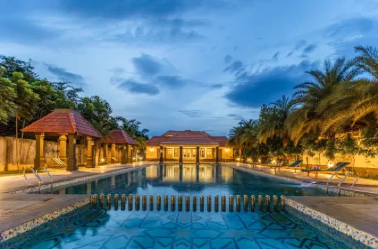 스털링 히비스 벨로르