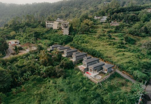 파쿠본 킨타마니 대표 이미지