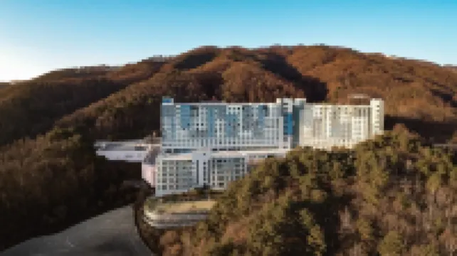 호텔 어라운드 평창  호텔