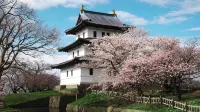 花びしホテル - 絶景