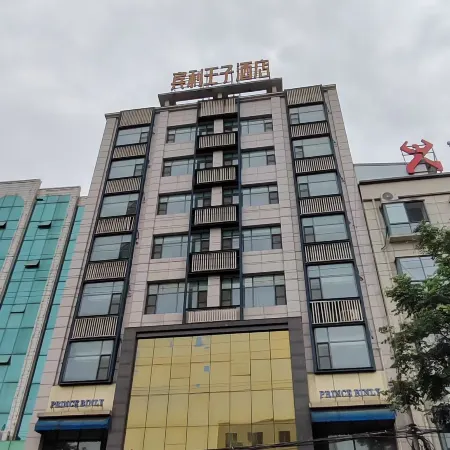 Bingly Hotel (White Feather Road, Xixia, Nanyang)