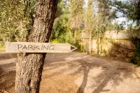 Bab Akoul Palmeraie - Boutique Hotel & Spa - Private Pools