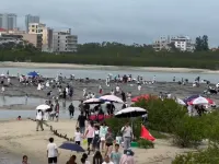 Weibo Bay·Santome Hostel (Vanke Phase 4 Store) in Shuangyue Bay, Huidong, Huizhou. - Condos