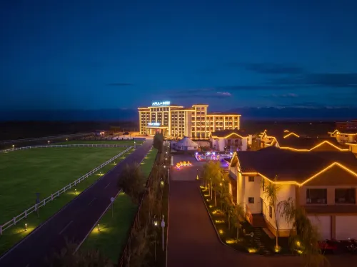 ARULA Hotel - bar