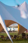 Three-Year-Old Camel · Luxury Wilderness Camp - رومانسي