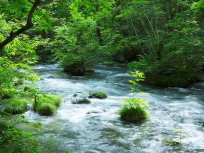 ホテル周辺 星野リゾート 奥入瀬渓流ホテルの写真