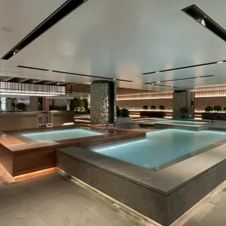 Changbai Mountain Pureland Hot Spring Resort Hotel