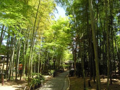 ホテル周辺 ホテルラフォーレ修善寺の写真