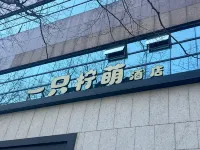 상하이 레몬호텔 우캉루 거리 주변 호텔