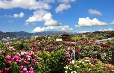 Baili Dujuan Anyi Hotel Отели рядом с достопримечательностью «Shiniu Tourism Town»