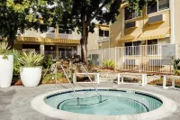 Wild Palms, a Jdv by Hyatt Hotel - Rooftop Pools