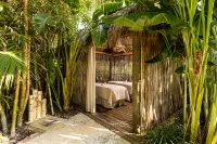 The Palms Hotel & Spa Miami Beach - spa