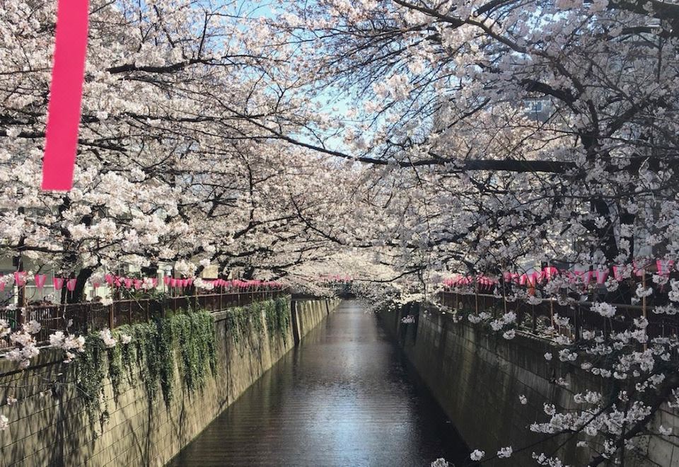 메구로 아오바다이 도미인 익스프레스 외관 또는 근거리