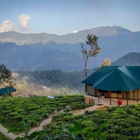 Madulkelle Tea and Eco Lodge