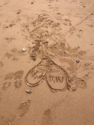 情海灣輕奢海景民宿（嵊泗嵊山枸杞大玉灣沙灘店） 休閒娛樂 Photos