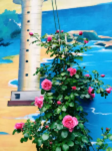 Liwu Homestay (Third Sea Bath Shop)