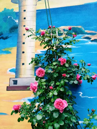 Liwu Homestay (Third Sea Bath Shop) Отели рядом с достопримечательностью «Rizhao Coastal National Forest Park»