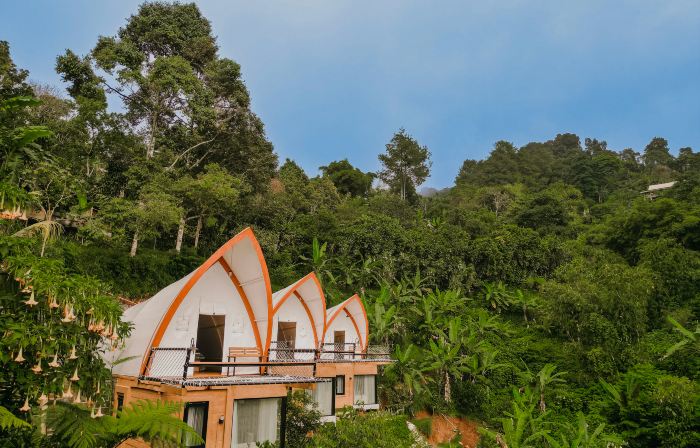 Selayang Olivehill - Luxury Glamping in the Forest