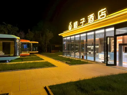 橙子飯店（烏魯木齊國際機場樓蘭祕烤迎賓路店） - 寵物友善