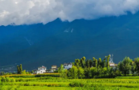 Loving Return · Cozy Stay Guesthouse（Dali Ancient Town, Yu'er Road Branch）