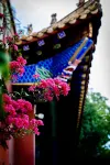 Shanluan Meisu Hotel - Mountain view