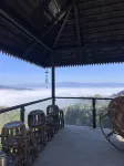 Yannan's Sea of Clouds · Mountain Residence (Jingmai Mountain Tea Forest Cultural Scenic Area)