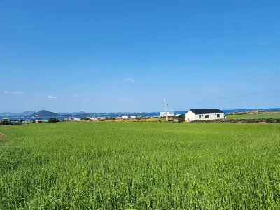 daldalhanbam 牛島(ウド)周辺のホテル