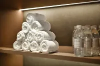 Nyingchi Motuo Lianhua Park Atour Hotel - Gym