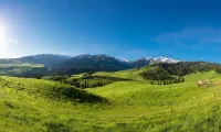 Yimei Grand Hotel (Nalati Tourist Scenic Area Branch) - Mountain view